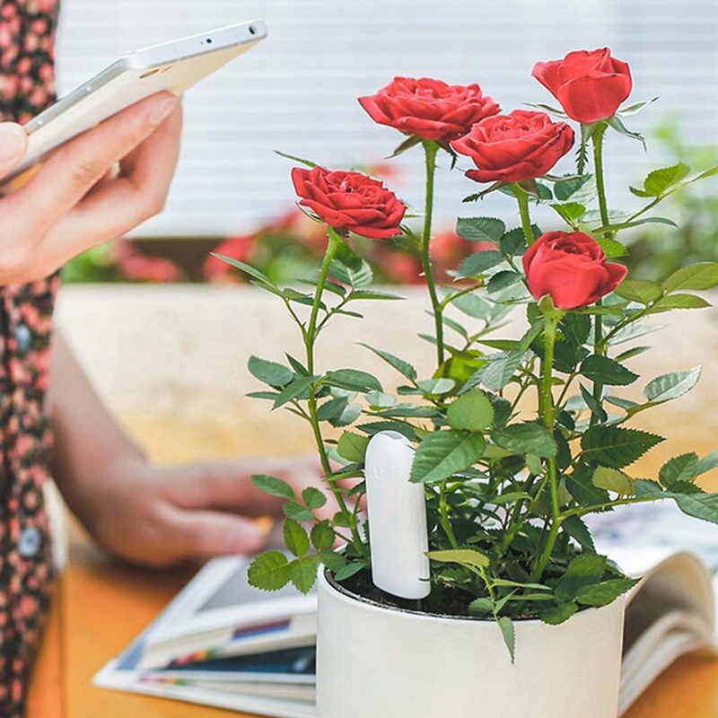 HHCC цветочный монитор Флора с – обзор и цена Smart Garden Monitor