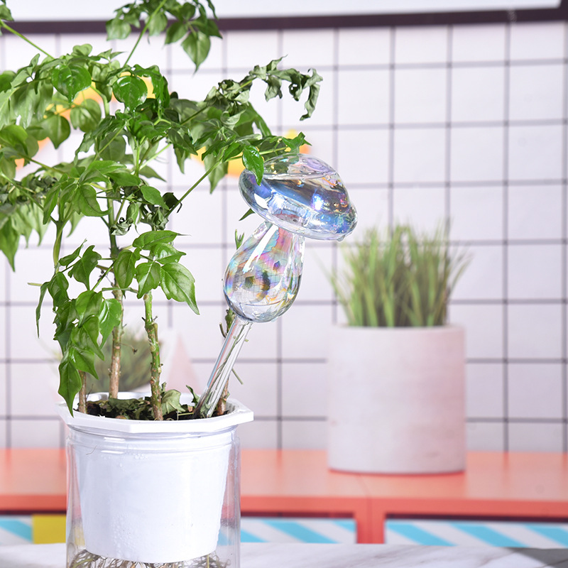 1/2 шт., стеклянная соломинка, – обзор и цена Smart Garden Technology