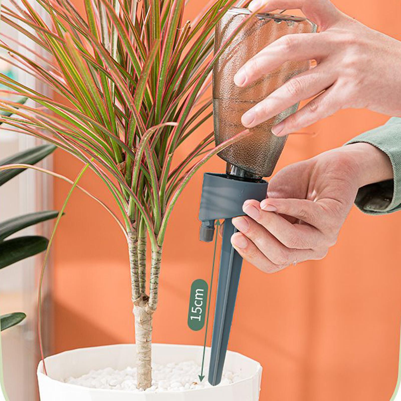 Автоматическая система полива  – обзор и цена Smart Garden Technology