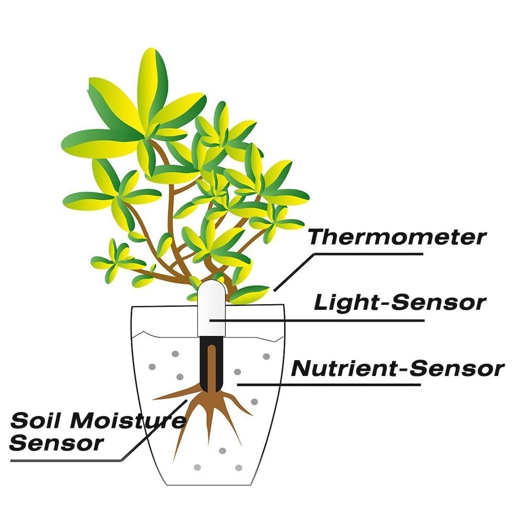 HHCC цветочный монитор Флора с – обзор и цена Smart Garden Monitor